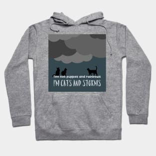 Cats And Storms Hoodie